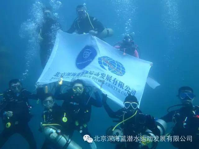 救援贪玩的大象